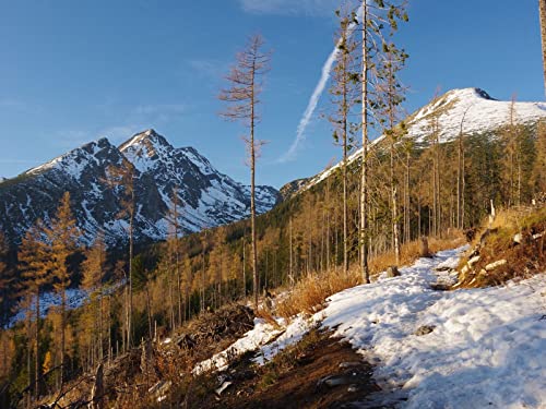500 Teile Erwachsenenpuzzle ab 14 Jahren, Bergbäume Schnee 52x38cm 500 Teile Erwachsenenpuzzle ab 14 Jahren, Bergbäume Schnee 52x38cm von FRUKAT