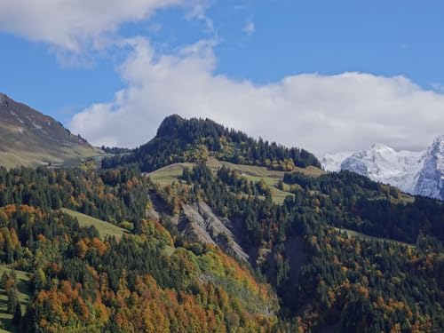 500 Teile Erwachsenenpuzzle ab 14 Jahren, Berge Bäume Natur 52x38cm 500 Teile Erwachsenenpuzzle ab 14 Jahren, Berge Bäume Natur 52x38cm von FRUKAT