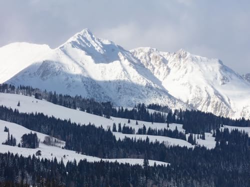 500 Teile Erwachsenenpuzzle ab 14 Jahren, Berge Schnee 52x38cm 500 Teile Erwachsenenpuzzle ab 14 Jahren, Berge Schnee 52x38cm von FRUKAT