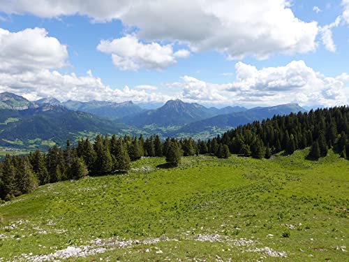 500 Teile Erwachsenenpuzzle ab 14 Jahren, Berge mit Bäumen 52x38cm 500 Teile Erwachsenenpuzzle ab 14 Jahren, Berge mit Bäumen 52x38cm von FRUKAT