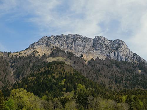 500 Teile Erwachsenenpuzzle ab 14 Jahren, Berggipfelbäume 52x38cm 500 Teile Erwachsenenpuzzle ab 14 Jahren, Berggipfelbäume 52x38cm von FRUKAT