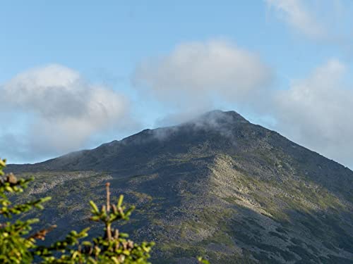 500 Teile Erwachsenenpuzzle ab 14 Jahren, Berggipfelzweige 52x38cm 500 Teile Erwachsenenpuzzle ab 14 Jahren, Berggipfelzweige 52x38cm von FRUKAT