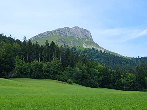 500 Teile Erwachsenenpuzzle ab 14 Jahren, Bergwälder Feld 52x38cm 500 Teile Erwachsenenpuzzle ab 14 Jahren, Bergwälder Feld 52x38cm von FRUKAT
