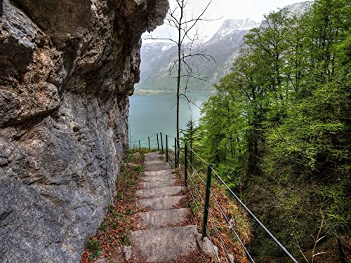 500 Teile Erwachsenenpuzzle ab 14 Jahren, Felsenseetreppe 52x38cm von FRUKAT
