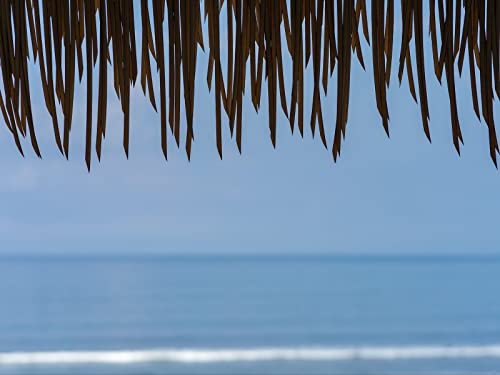 500 Teile Erwachsenenpuzzle ab 14 Jahren, Fransenblättermeer 52x38cm 500 Teile Erwachsenenpuzzle ab 14 Jahren, Fransenblättermeer 52x38cm von FRUKAT