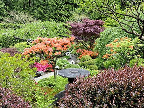 500 Teile Erwachsenenpuzzle ab 14 Jahren, Gartenbäume von Oben 52x38cm von FRUKAT