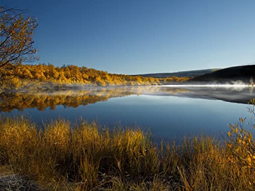 500 Teile Erwachsenenpuzzle ab 14 Jahren, Gras See Bäume 52x38cm 500 Teile Erwachsenenpuzzle ab 14 Jahren, Gras See Bäume 52x38cm von FRUKAT