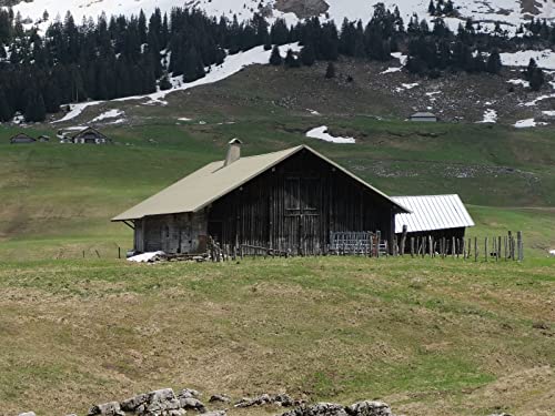 500 Teile Erwachsenenpuzzle ab 14 Jahren, Haus Berge Rasen 52x38cm 500 Teile Erwachsenenpuzzle ab 14 Jahren, Haus Berge Rasen 52x38cm von FRUKAT