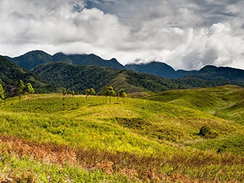 500 Teile Erwachsenenpuzzle ab 14 Jahren, Hügel Gras Berge 52x38cm 500 Teile Erwachsenenpuzzle ab 14 Jahren, Hügel Gras Berge 52x38cm von FRUKAT