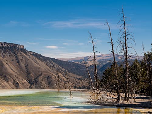 500 Teile Erwachsenenpuzzle ab 14 Jahren, See Berge Bäume 52x38cm 500 Teile Erwachsenenpuzzle ab 14 Jahren, See Berge Bäume 52x38cm von FRUKAT