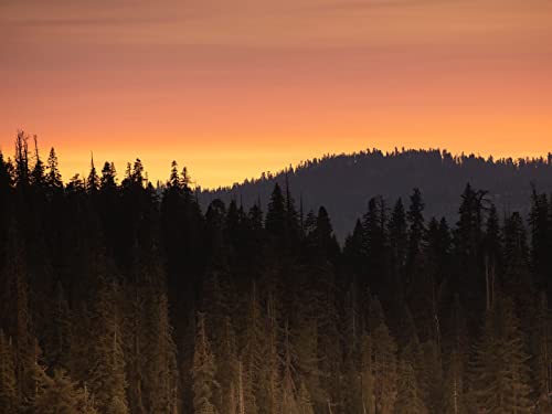 500 Teile Erwachsenenpuzzle ab 14 Jahren, Wälder Bäume Sonnenuntergang 52x38cm 500 Teile Erwachsenenpuzzle ab 14 Jahren, Wälder Bäume Sonnenuntergang 52x38cm von FRUKAT
