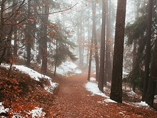 500 Teile Erwachsenenpuzzle ab 14 Jahren, Wälder Nebel Pfad 52x38cm 500 Teile Erwachsenenpuzzle ab 14 Jahren, Wälder Nebel Pfad 52x38cm von FRUKAT