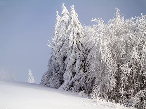 500 Teile Erwachsenenpuzzle ab 14 Jahren, Wälder Schnee 52x38cm 500 Teile Erwachsenenpuzzle ab 14 Jahren, Wälder Schnee 52x38cm von FRUKAT