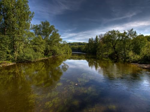 500 Teile Puzzle,Farbenfrohes Puzzle für Erwachsene und Kinder ab 14 Jahren-Fluss, Bäume, Natur, Landschaft 52x38cm von FRUKAT