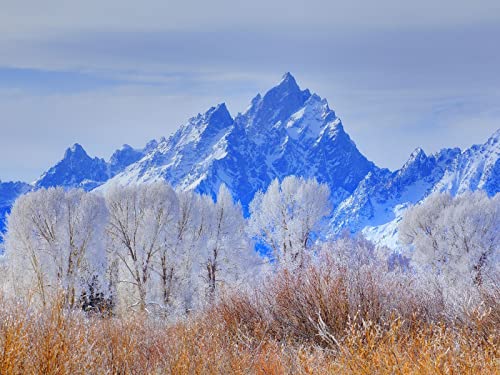 500 Teile Puzzle,Farbenfrohes Puzzle für Erwachsene und Kinder ab 14 Jahren - Grand Teton Nationalpark Wyoming 52x38cm von FRUKAT