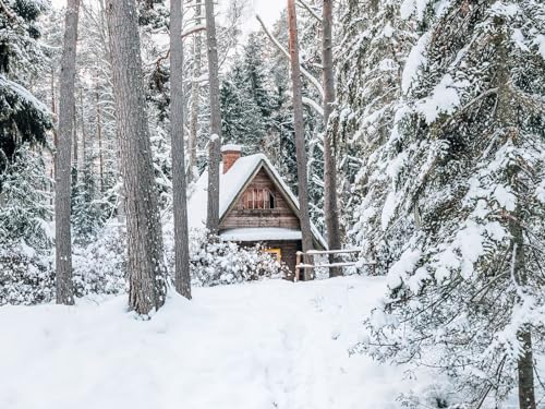 500 Teile Puzzle,Farbenfrohes Puzzle für Erwachsene und Kinder ab 14 Jahren - Haus Wälder Schnee 52x38cm von FRUKAT