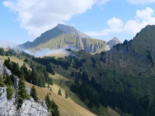 500 Teile Puzzle,Geschicklichkeitsspiel für Die Ganze Familie, Berge Bäume Hänge 52x38cm 500 Teile Puzzle,Geschicklichkeitsspiel für Die Ganze Familie, Berge Bäume Hänge 52x38cm von FRUKAT