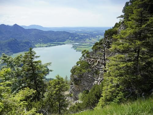 500 Teile Puzzle,Geschicklichkeitsspiel für Die Ganze Familie, Berge Bäume See 52x38cm 500 Teile Puzzle,Geschicklichkeitsspiel für Die Ganze Familie, Berge Bäume See 52x38cm von FRUKAT