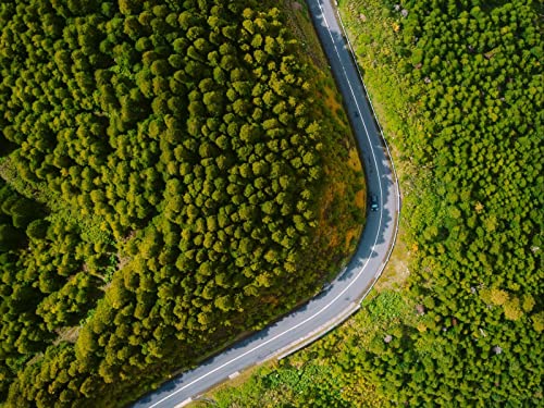 500 Teile Puzzle,Geschicklichkeitsspiel für Die Ganze Familie, Road Turn Forests 52x38cm 500 Teile Puzzle,Geschicklichkeitsspiel für Die Ganze Familie, Road Turn Forests 52x38cm von FRUKAT