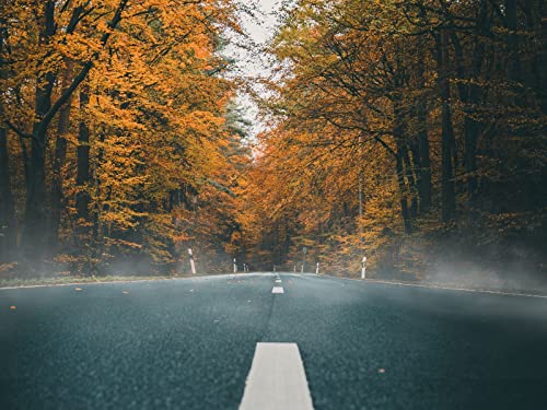 500 Teile Puzzle,Geschicklichkeitsspiel für Die Ganze Familie, Straßenasphalt Herbst 52x38cm 500 Teile Puzzle,Geschicklichkeitsspiel für Die Ganze Familie, Straßenasphalt Herbst 52x38cm von FRUKAT