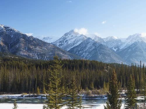 500 Teile Puzzle,Geschicklichkeitsspiel für Die Ganze Familie, Wälder Bäume Berge 52x38cm 500 Teile Puzzle,Geschicklichkeitsspiel für Die Ganze Familie, Wälder Bäume Berge 52x38cm von FRUKAT