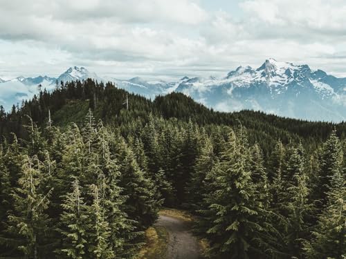 500 Teile Puzzle,Geschicklichkeitsspiel für Die Ganze Familie - Berge Bäume Straße 52x38cm 500 Teile Puzzle,Geschicklichkeitsspiel für Die Ganze Familie - Berge Bäume Straße 52x38cm von FRUKAT