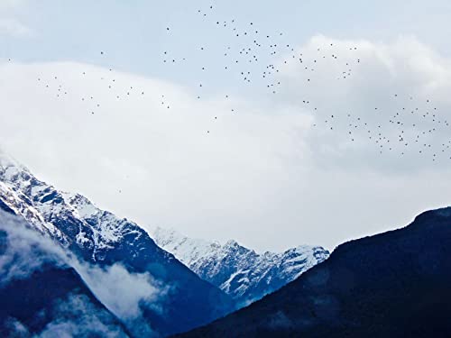 500 Teile Puzzle,Geschicklichkeitsspiel für Die Ganze Familie - Berge Himmel 52x38cm 500 Teile Puzzle,Geschicklichkeitsspiel für Die Ganze Familie - Berge Himmel 52x38cm von FRUKAT