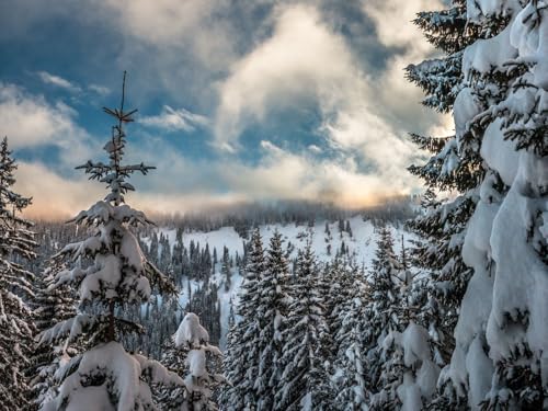 500 Teile Puzzle,Geschicklichkeitsspiel für Die Ganze Familie - Berge Schnee 52x38cm 500 Teile Puzzle,Geschicklichkeitsspiel für Die Ganze Familie - Berge Schnee 52x38cm von FRUKAT