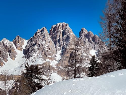 500 Teile Puzzle,Geschicklichkeitsspiel für Die Ganze Familie - Berge Schnee Bäume 52x38cm 500 Teile Puzzle,Geschicklichkeitsspiel für Die Ganze Familie - Berge Schnee Bäume 52x38cm von FRUKAT