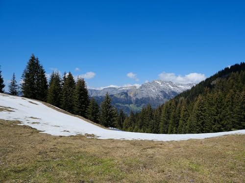 500 Teile Puzzle,Geschicklichkeitsspiel für Die Ganze Familie - Berge Tal Wälder 52x38cm 500 Teile Puzzle,Geschicklichkeitsspiel für Die Ganze Familie - Berge Tal Wälder 52x38cm von FRUKAT