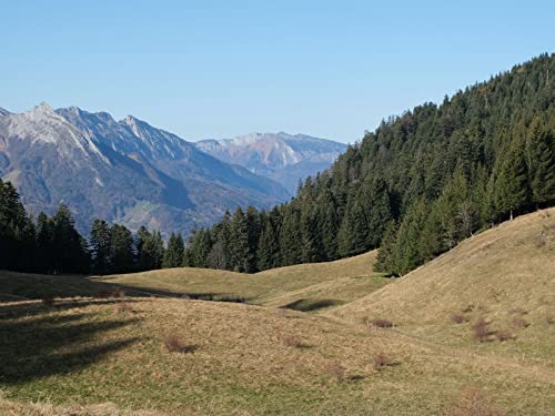 500 Teile Puzzle,Geschicklichkeitsspiel für Die Ganze Familie - Gras Bäume Berge 52x38cm 500 Teile Puzzle,Geschicklichkeitsspiel für Die Ganze Familie - Gras Bäume Berge 52x38cm von FRUKAT