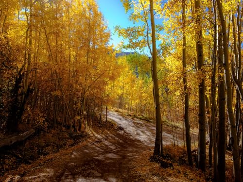 500 Teile Puzzle,Geschicklichkeitsspiel für die ganze Familie,-Wälder, Weg, Herbst, Berge, Land 52x38cm 500 Teile Puzzle,Geschicklichkeitsspiel für die ganze Familie,-Wälder, Weg, Herbst, Berge, Land 52x38cm von FRUKAT