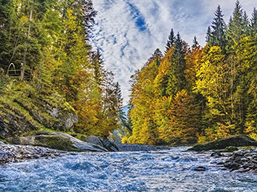 500 Teile Puzzle,Impossible Puzzle,Puzzle-Geschenk, Fluss Bach Bäume 52x38cm von FRUKAT