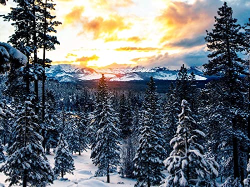 500 Teile Puzzle,Impossible Puzzle,Puzzle-Geschenk, Wälder Berge 52x38cm von FRUKAT
