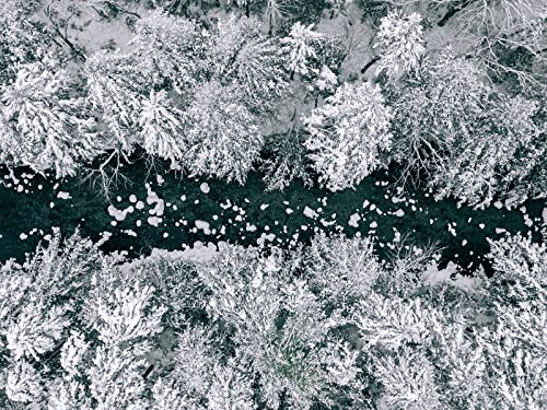 500 Teile Puzzle,Impossible Puzzle,Puzzle-Geschenk, Wälder Fluss Schnee 52x38cm von FRUKAT