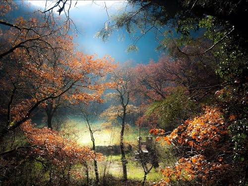 500 Teile Puzzle,Impossible Puzzle für Kleinkinder Jungen Mädchen 14 Jahre alt-Bäume, Nebel, Hügel, Rasen, Wälder 52x38cm 500 Teile Puzzle,Impossible Puzzle für Kleinkinder Jungen Mädchen 14 Jahre alt-Bäume, Nebel, Hügel, Rasen, Wälder 52x38cm von FRUKAT
