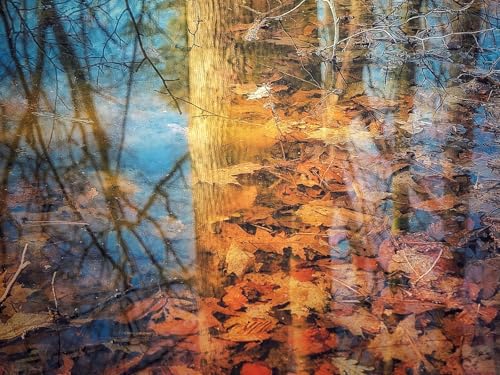 500 Teile Puzzle,Impossible Puzzle für Kleinkinder Jungen Mädchen 14 Jahre alt - Reflexion Baumblätter 52x38cm von FRUKAT