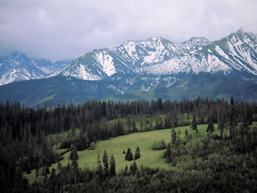 500 Teile Puzzle,Lernen Pädagogische Puzzle Spielzeug - Berge Bäume Natur 52x38cm 500 Teile Puzzle,Lernen Pädagogische Puzzle Spielzeug - Berge Bäume Natur 52x38cm von FRUKAT