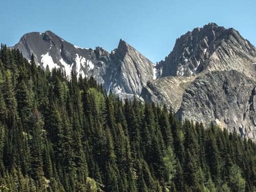 500 Teile Puzzle,Lernen Pädagogische Puzzle Spielzeug - Berge Bäume Wälder 52x38cm von FRUKAT