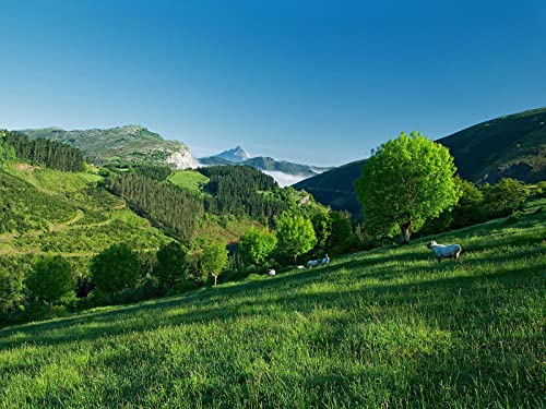 500 Teile Puzzle,Lernen Pädagogische Puzzle Spielzeug - Berghangschafe 52x38cm 500 Teile Puzzle,Lernen Pädagogische Puzzle Spielzeug - Berghangschafe 52x38cm von FRUKAT
