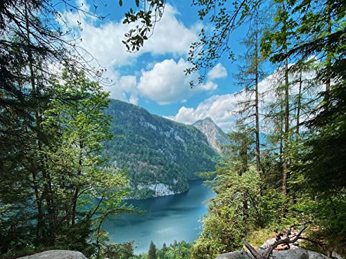 500 Teile Puzzle,Lernen Pädagogische Puzzle Spielzeug - Felsenseewasserfall 52x38cm von FRUKAT