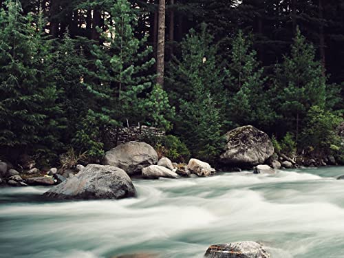 500 Teile Puzzle,Lernen Pädagogische Puzzle Spielzeug - Fluss Steine Bach 52x38cm von FRUKAT