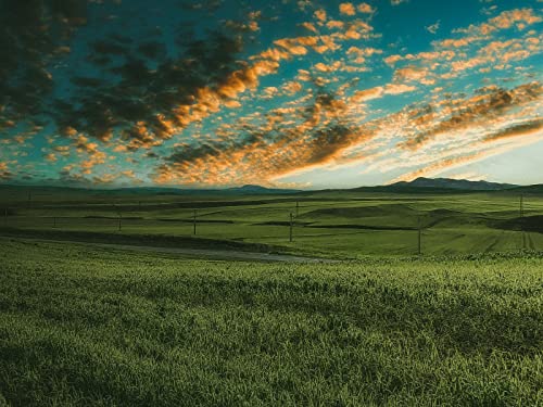 500 Teile Puzzle,Lernen Pädagogische Puzzle Spielzeug - Gräser Feld Horizont 52x38cm 500 Teile Puzzle,Lernen Pädagogische Puzzle Spielzeug - Gräser Feld Horizont 52x38cm von FRUKAT