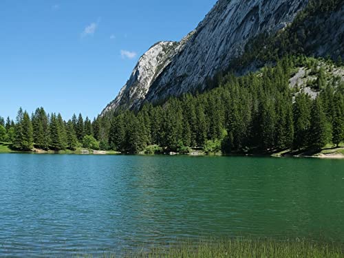 500 Teile Puzzle,Lernen Pädagogische Puzzle Spielzeug - Gras Fluss Bäume 52x38cm von FRUKAT