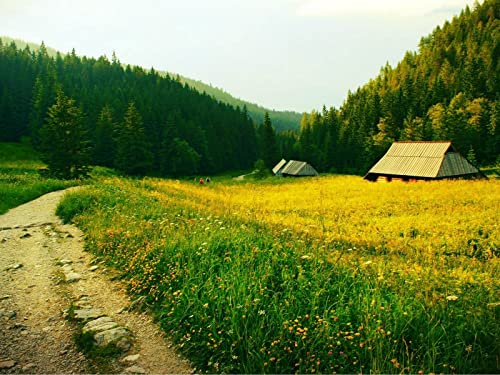 500 Teile Puzzle,Lernen Pädagogische Puzzle Spielzeug - Gras Weg Bäume 52x38cm 500 Teile Puzzle,Lernen Pädagogische Puzzle Spielzeug - Gras Weg Bäume 52x38cm von FRUKAT