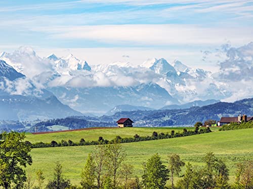 500 Teile Puzzle,Lernen Pädagogische Puzzle Spielzeug - Haus Hügel Feld 52x38cm von FRUKAT