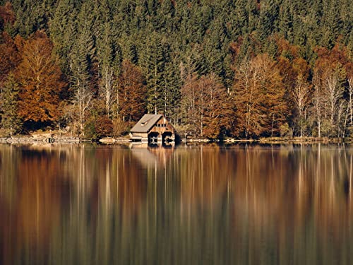 500 Teile Puzzle,Lernen Pädagogische Puzzle Spielzeug - Haus Wälder See 52x38cm von FRUKAT