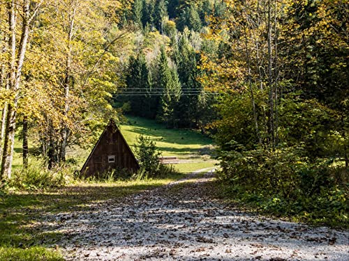 500 Teile Puzzle,Lernen Pädagogische Puzzle Spielzeug - Hütte Straße Bäume 52x38cm 500 Teile Puzzle,Lernen Pädagogische Puzzle Spielzeug - Hütte Straße Bäume 52x38cm von FRUKAT