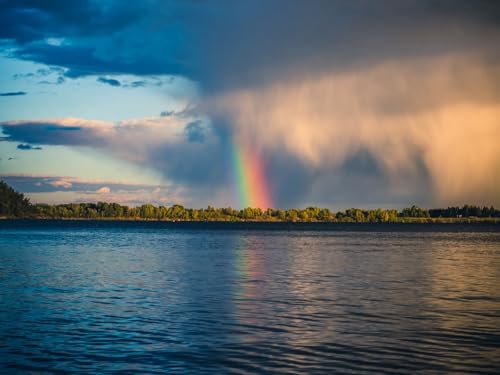 500 Teile Puzzle,Lernen Pädagogische Puzzle Spielzeug - Regenbogenflussbäume 52x38cm von FRUKAT