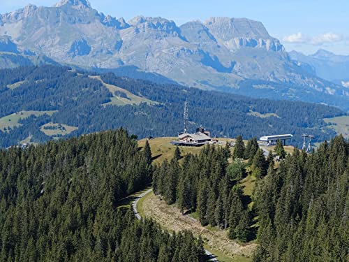 500 Teile Puzzle,Lernen Pädagogische Puzzle Spielzeug - Straße Wälder Berge 52x38cm von FRUKAT